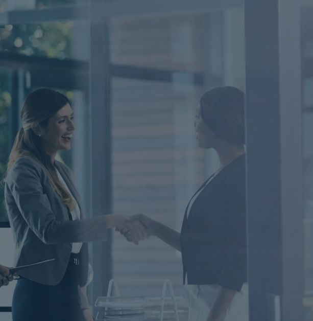 hubspot-services-FI